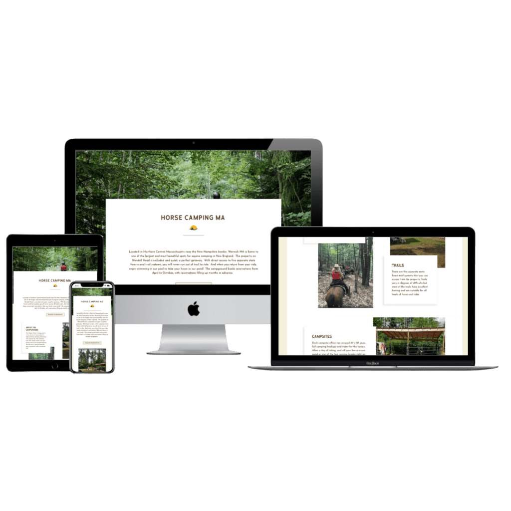 EJM Design offers web design and SEO for Western Massachusetts equestrian businesses